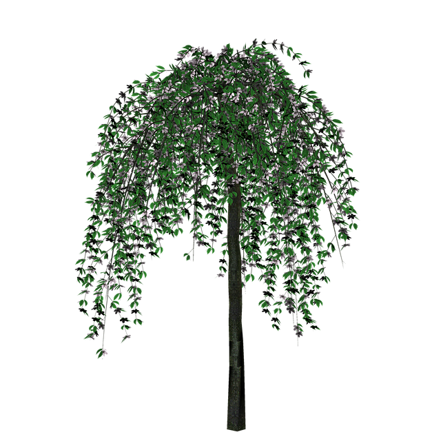 Free Tree Nature illustration and picture