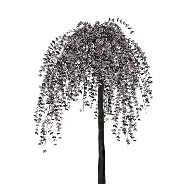 Free Tree Nature illustration and picture