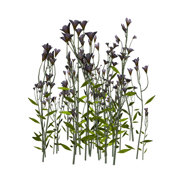 Free Flowers Bloom illustration and picture