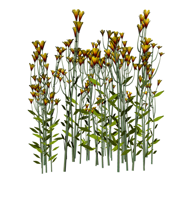 Free Flowers Nature illustration and picture