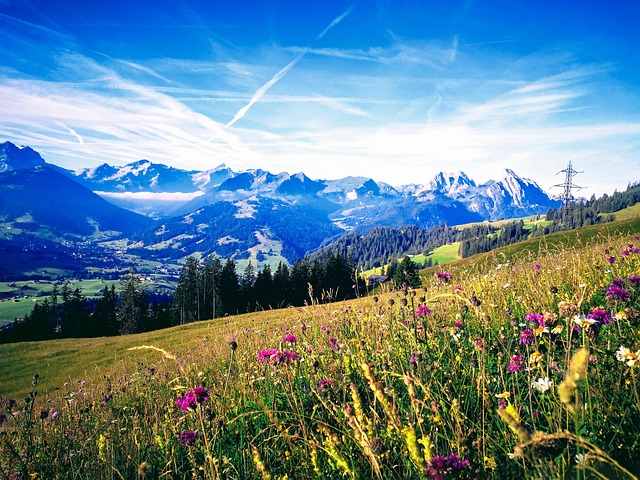 Free Switzerland Tourism photo and picture