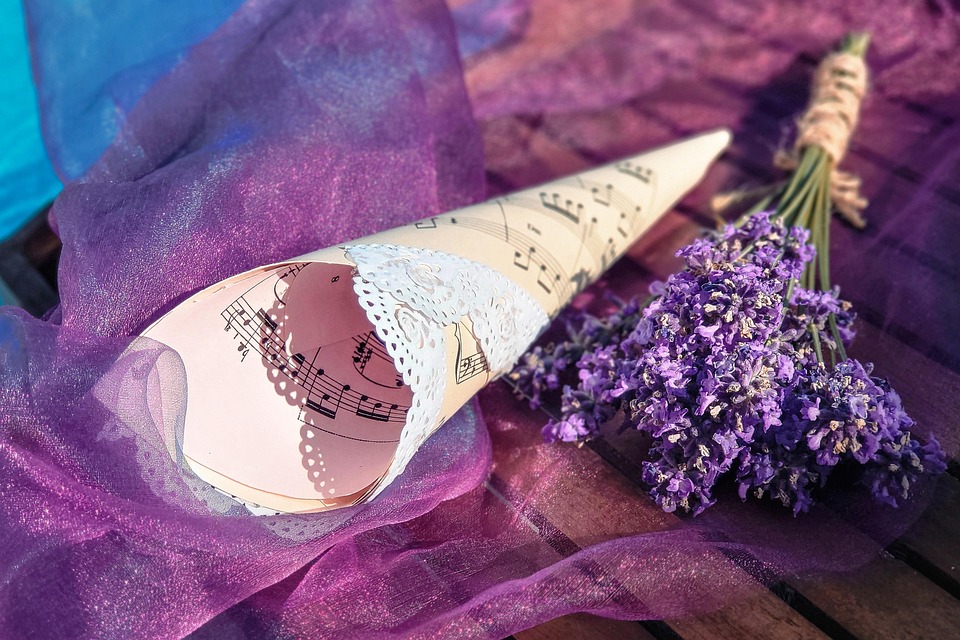 lavender-7265678_960_720.jpg