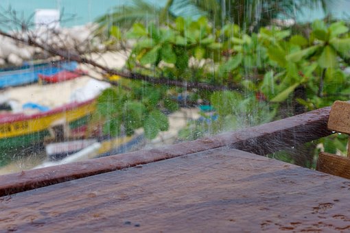 Free Rain Water photo and picture