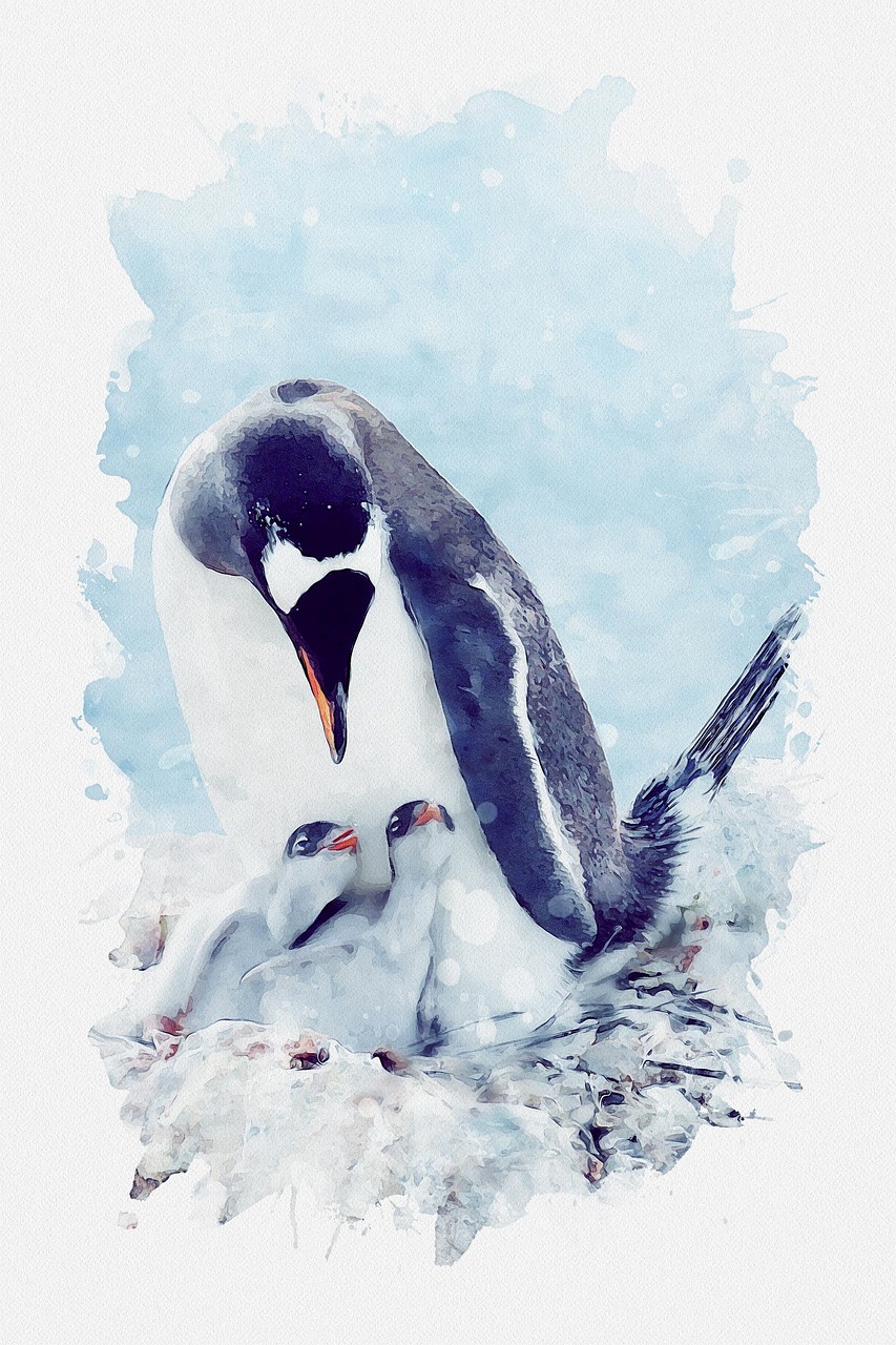 Explore 1,003+ Free Penguin Illustrations: Download Now - Pixabay