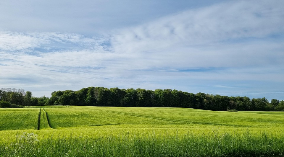Field Cropland Agriculture - Free photo on Pixabay