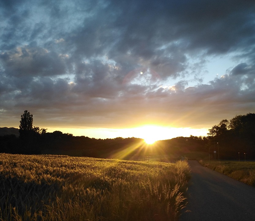 field-7266626_960_720.jpg