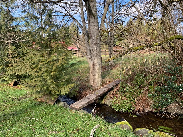 Å, Bæk, Landlige, Gård, Idyllisk