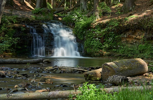 Free Waterfall Stream photo and picture