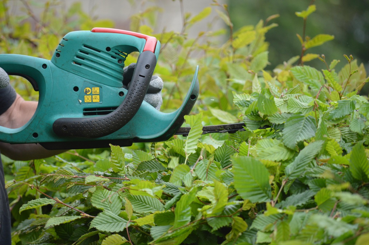 Hedge Trimmer - free online jigsaw puzzle photo