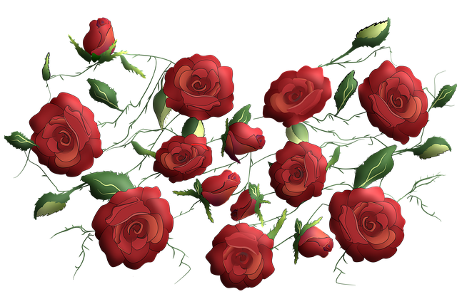 Over 30 illustrasjoner av Sommerfest og Sommer - Pixabay