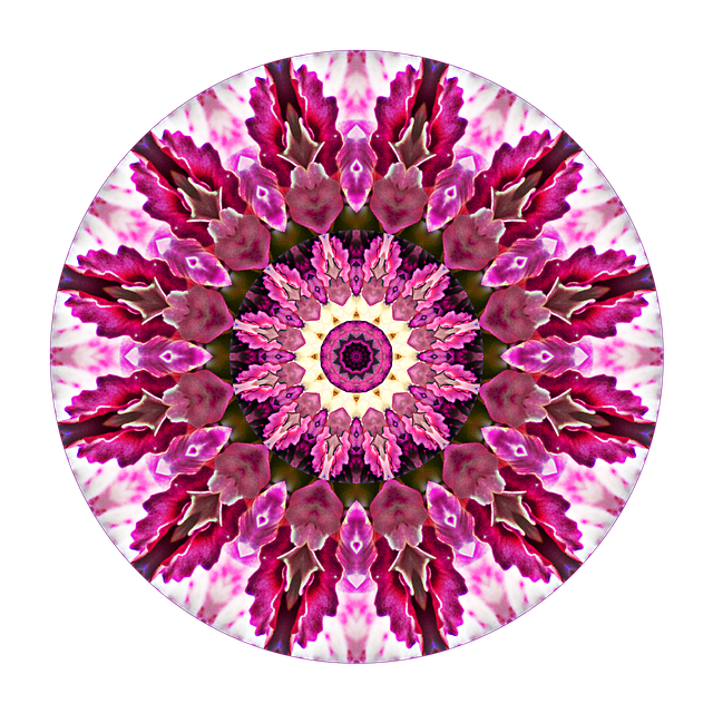Download free HD stock image of Rosette Mandala Free rosette mandala circle illustration