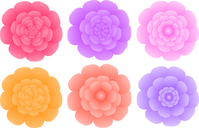Free flowers floral colorful flowers illustration
