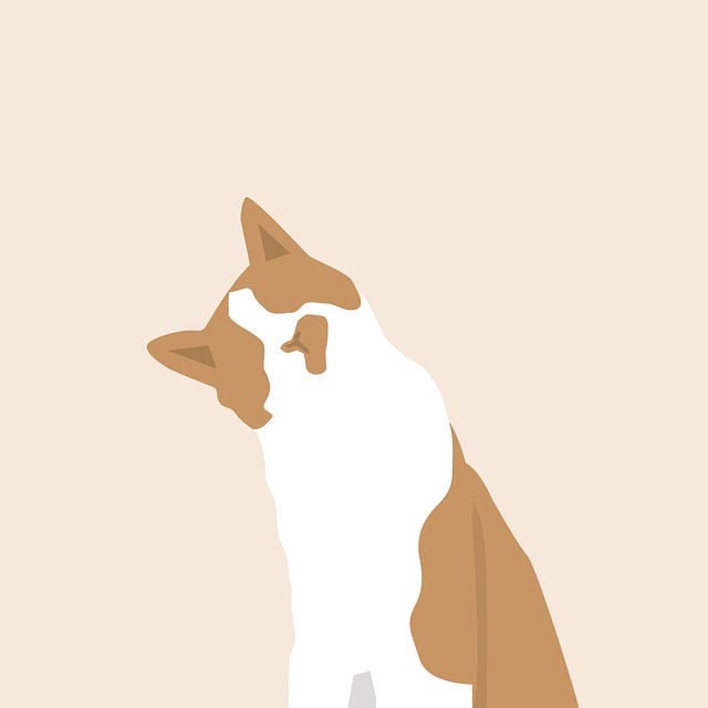 Free cat cartoon cat cartoon animal illustration