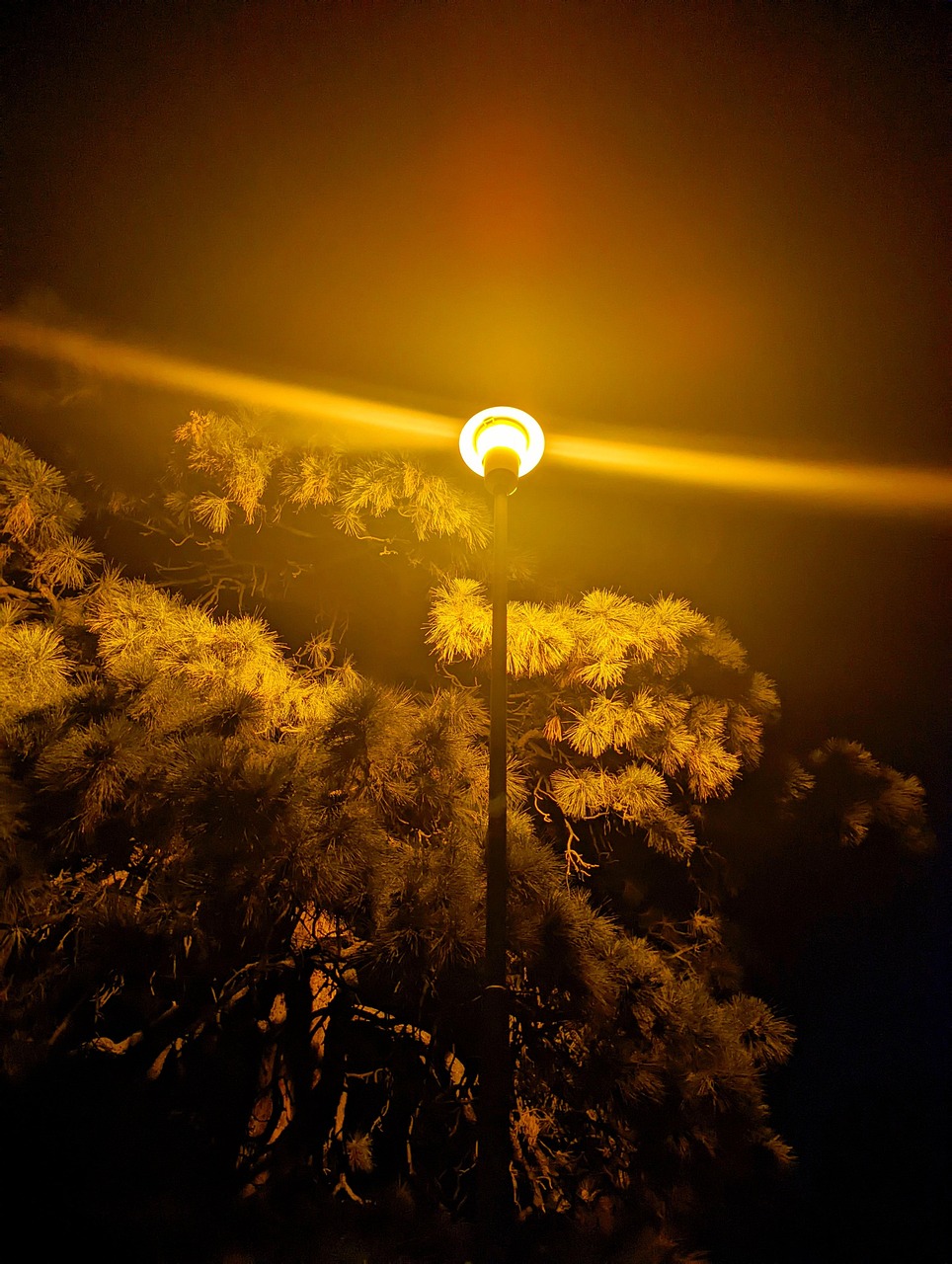 夜晚 路灯 城市的 - Pixabay上的免费照片