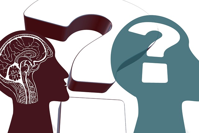 Free think question mark question illustration