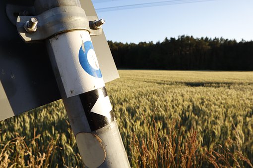 Free Cornfield Field photo and picture