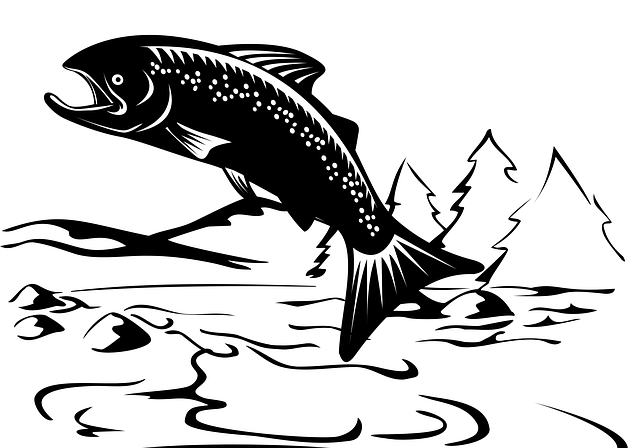 Free fish bass black illustration