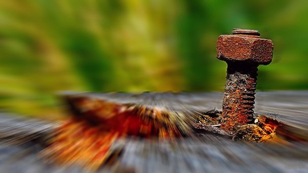 Holz, Schraube, Natur, Wald, Wanderung