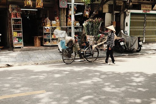 Hanoi, Blume, Phoko, Fujifilm, Mikrolos