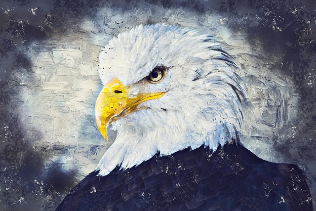 Download free HD stock image of Eagle Bird Of Prey Free eagle bird of prey raptor illustration