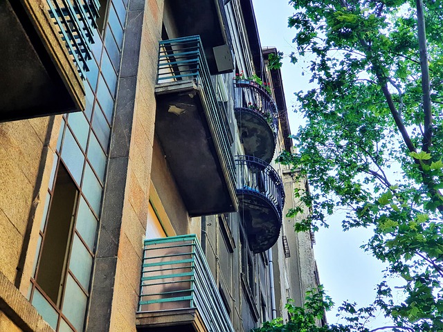 Free Budapest Hungary photo and picture