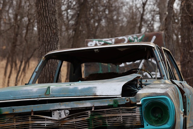 Free Car Vehicle photo and picture