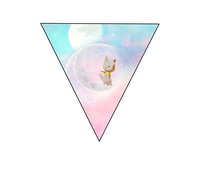 Ruimte Kat, Ruimtepak, Astronaut Kat