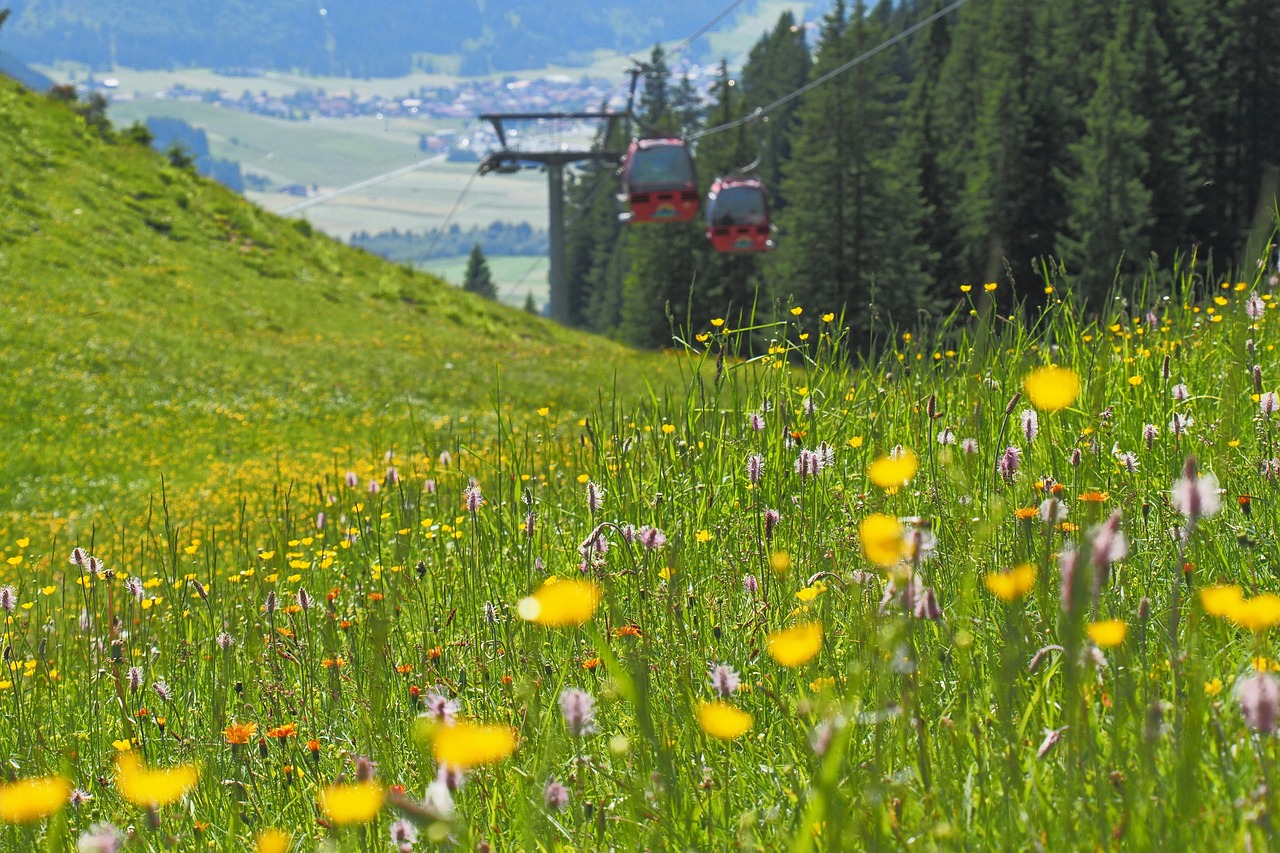 Cable Railway - free online jigsaw puzzle photo