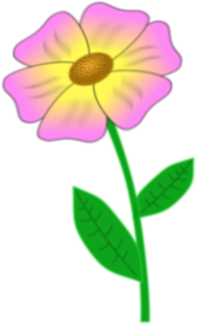 Floare, A Inflori, Bloom, Grădină, Vară