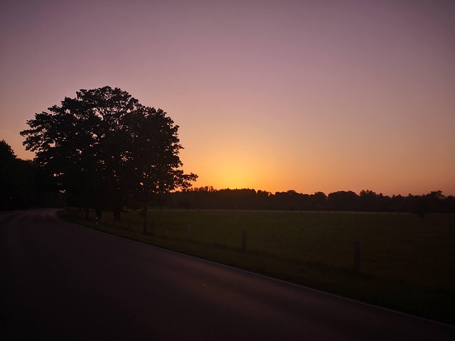 Aften, Solnedgang, Træ, Bayern