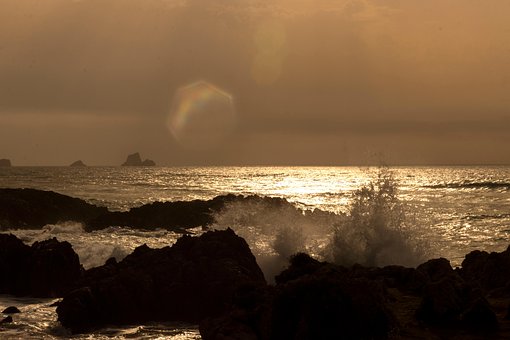 Free Beach Sea photo and picture