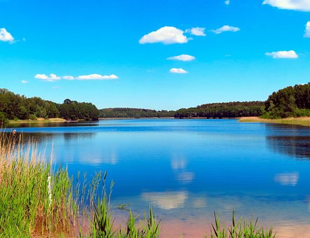 See, Natur, Kronsee, Uckermark