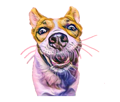 Hond, Lachende Hond, Portret, Kunstwerk