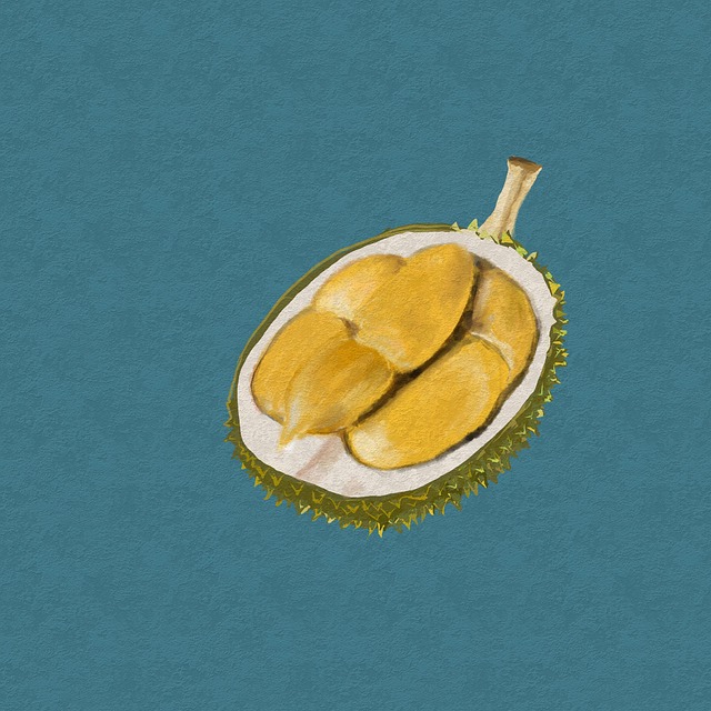 Free durian tropical fruit fruit illustration