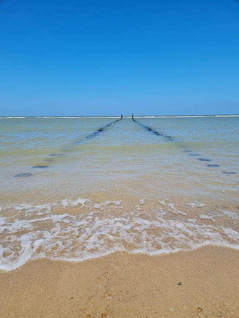 Free Sea North Sea photo and picture