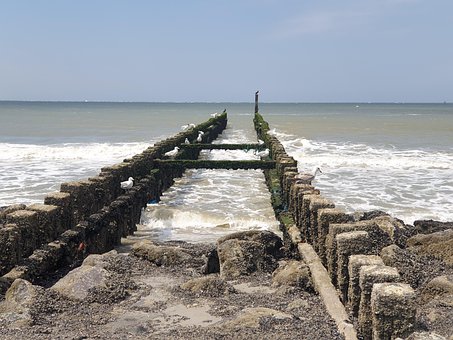Free Sea Holland photo and picture