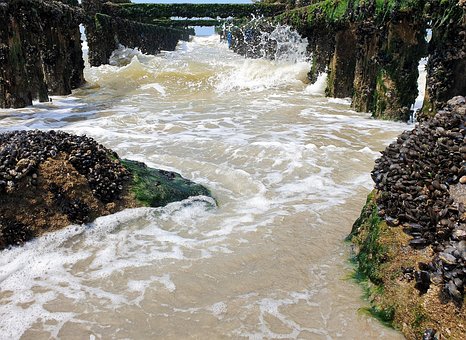 Free Meerr Waves photo and picture