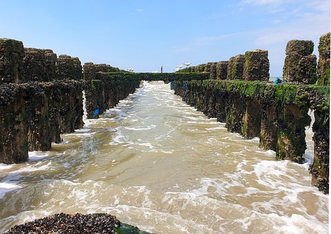 Free Sea Holland photo and picture