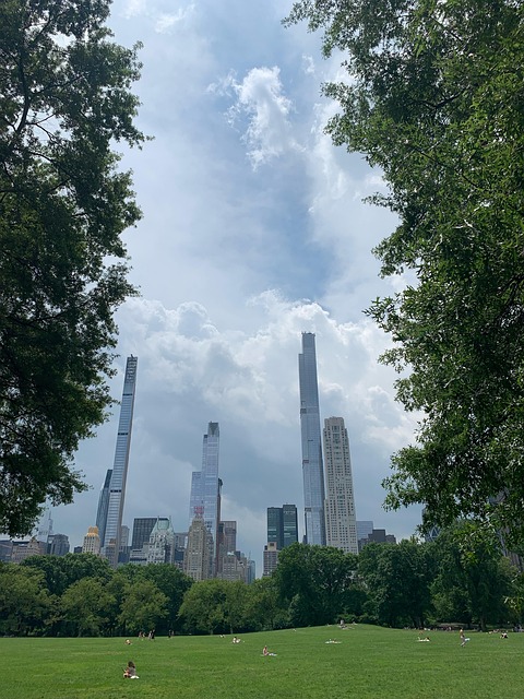Free Usa New York photo and picture