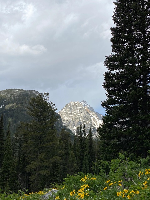 Free Mountain Peak photo and picture