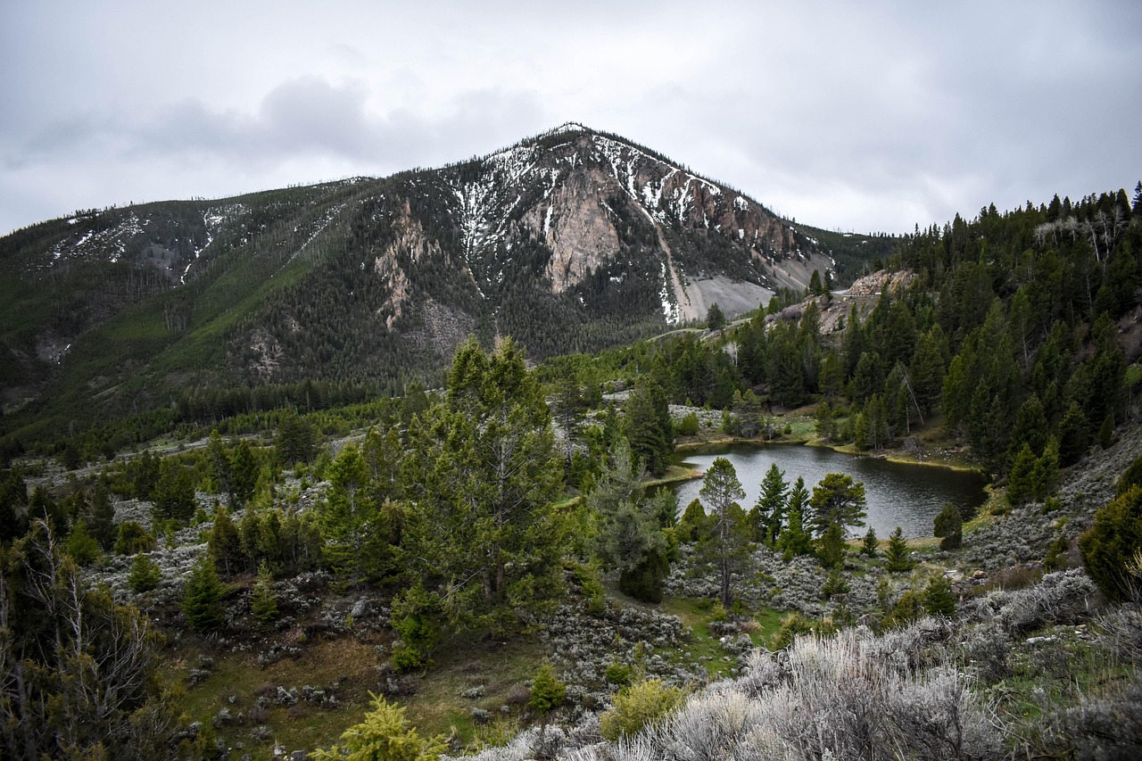 Top Startup Accelerators for Personalized Investor Introductions in US Mountain States: Colorado, Utah, New Mexico, Montana, Wyoming, Idaho