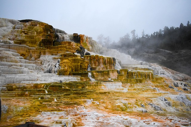 Frühling, Yellowstone Nationalpark