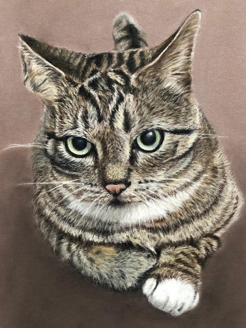 Free Pastel Cat photo and picture