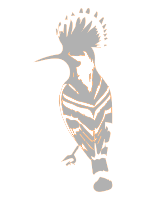 Aro, Animal, Pájaro, Naturaleza, Hermosa