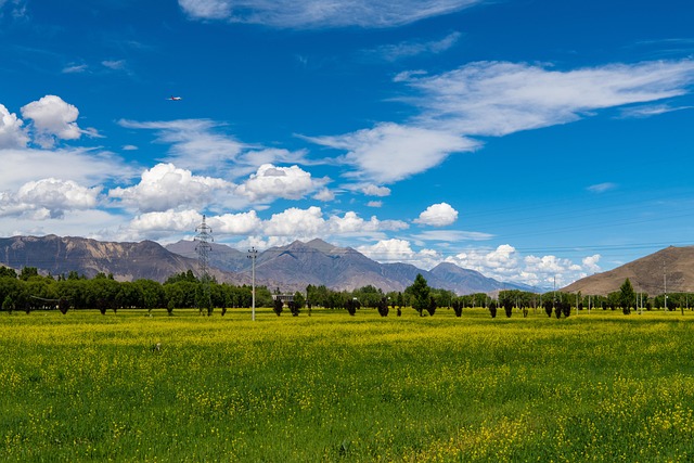 Free Scenery Nature photo and picture