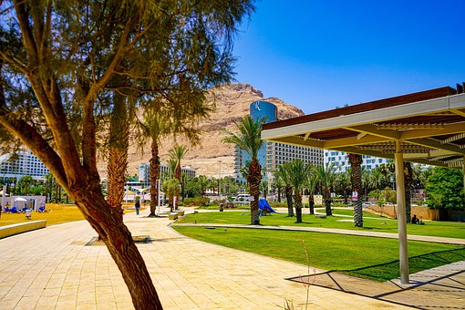 Free Park Dead Sea Park photo and picture