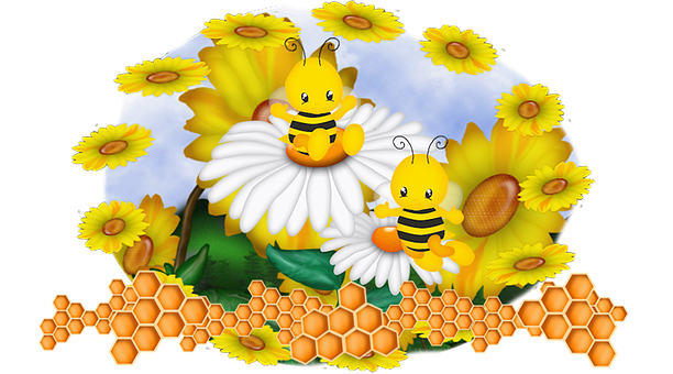 Honig, Biene, Blumen, Waben, Blätter