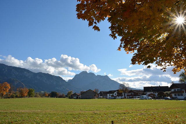 Free Mountains Trees photo and picture