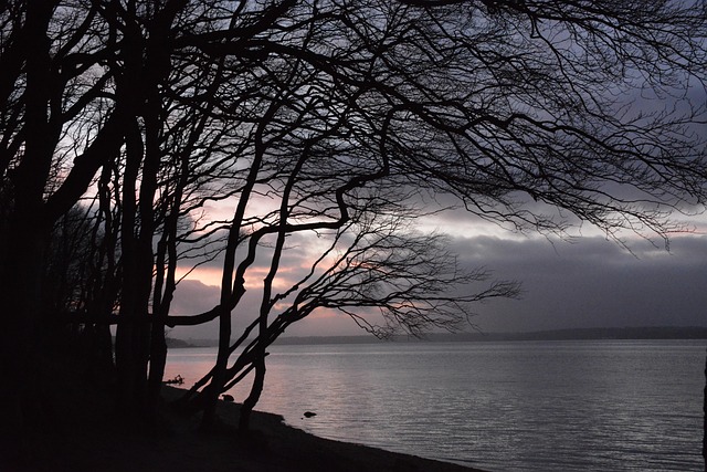 Free Beach Lake photo and picture