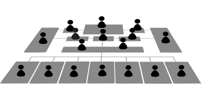 Free organization chart hierarchy staff vector